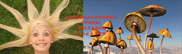 шишки Армянск