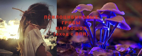 шишки Армянск