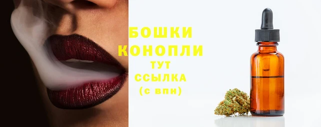 шишки Армянск