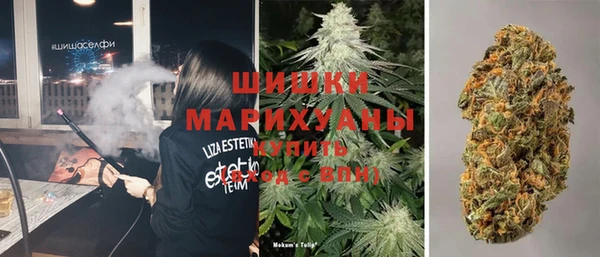 индика Балабаново