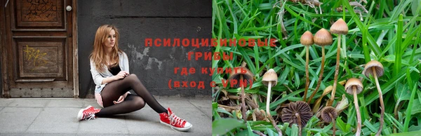 шишки Армянск