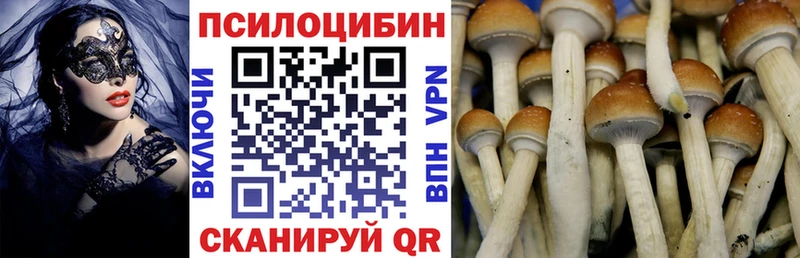 где продают   Верея  Галлюциногенные грибы MAGIC MUSHROOMS 